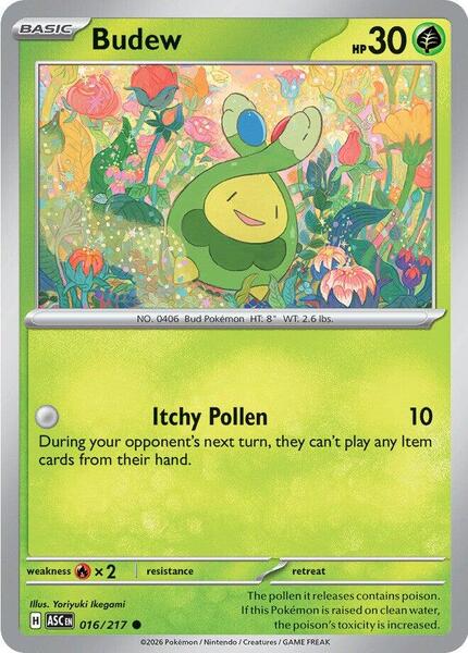 Budew - 016/217-#016/217-Standard