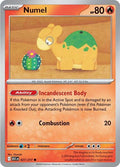 Numel - 027/217-#027/217-Normal