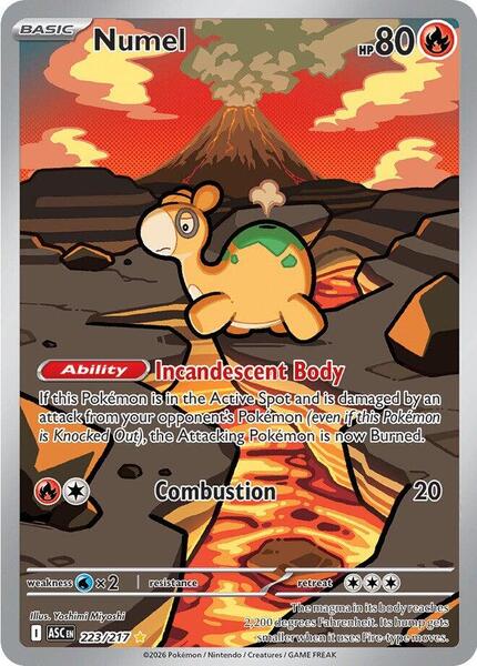 Numel - 223/217-#223/217-Standard