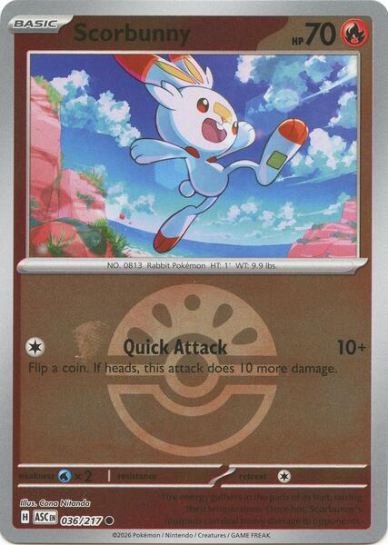 Scorbunny - 036/217 (Friend Ball)-#036/217-Standard